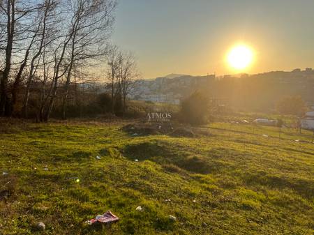 SHITET TOKE NE FARKE TIRANE