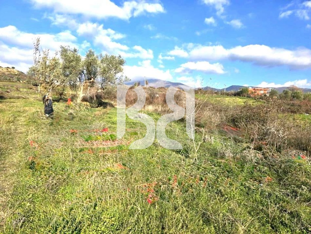 SHITET TOKE NE MULLET-PRANE EQUOS RESORT*