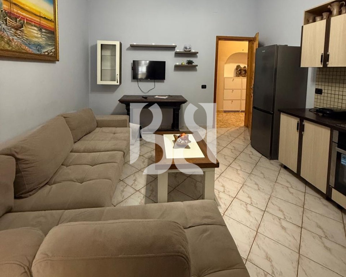 APARTAMENT ME QERA 1+1 TE SHESHI WILSON