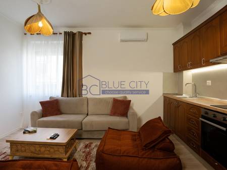 JEPET ME QIRA APARTAMENT 1+1 TEK HOTEL PALACE, PLAZH