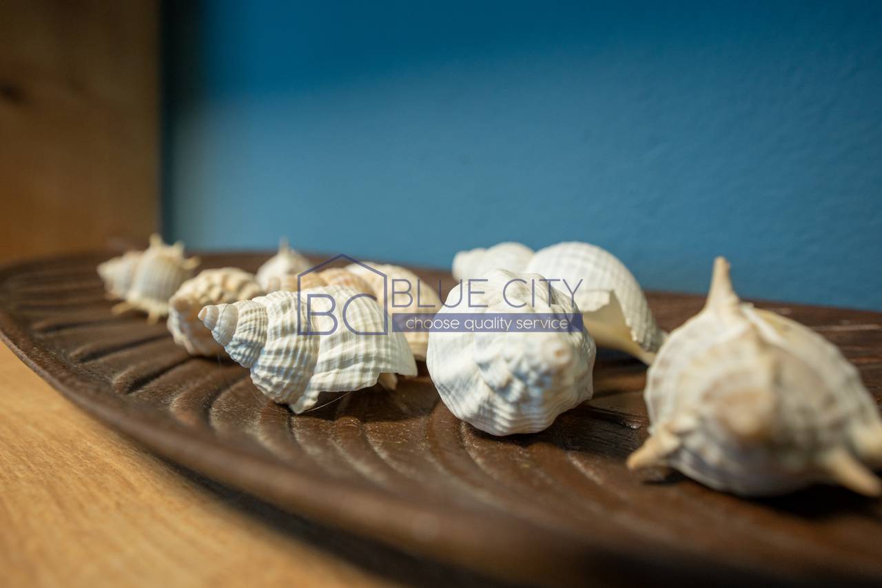 JEPET ME QIRA APARTAMENT 1+1 NE VOLLGA!