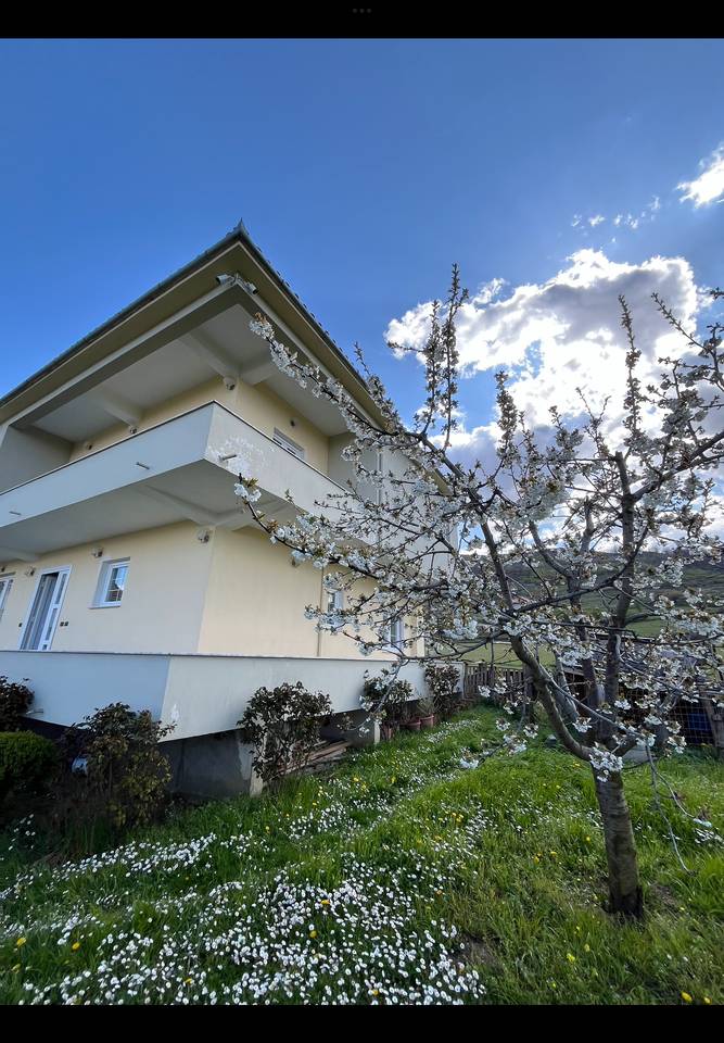 POGRADEC , SHESIM VILË NË VËRDOVË !!!!