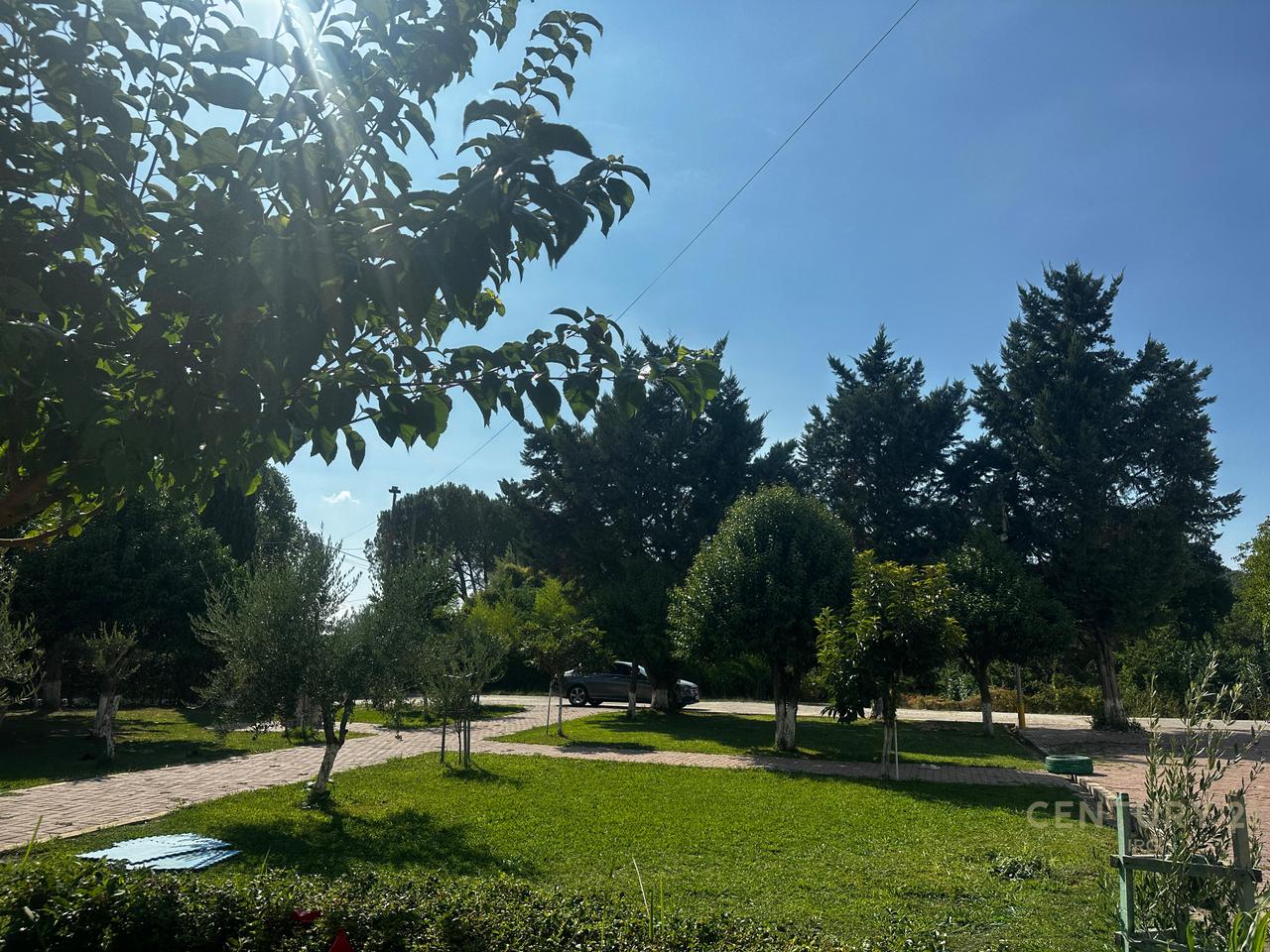 Spazio Multifunzionale in Affitto – Mullet, Tirana