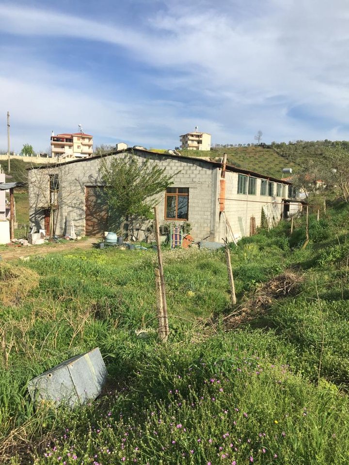 SHKALLNUR, MAGAZINE EXCHANGE WITH TOKE