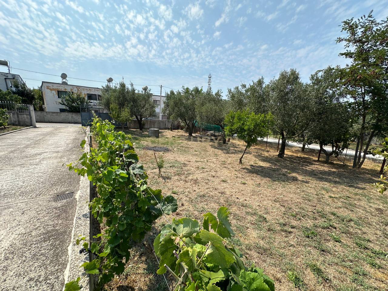 Villa for Sale in Shën Avlash, Durrës - €349,000 | 1470 m²