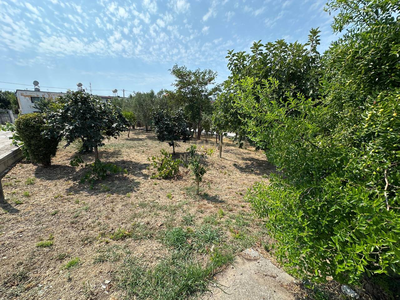 Villa for Sale in Shën Avlash, Durrës - €349,000 | 1470 m²