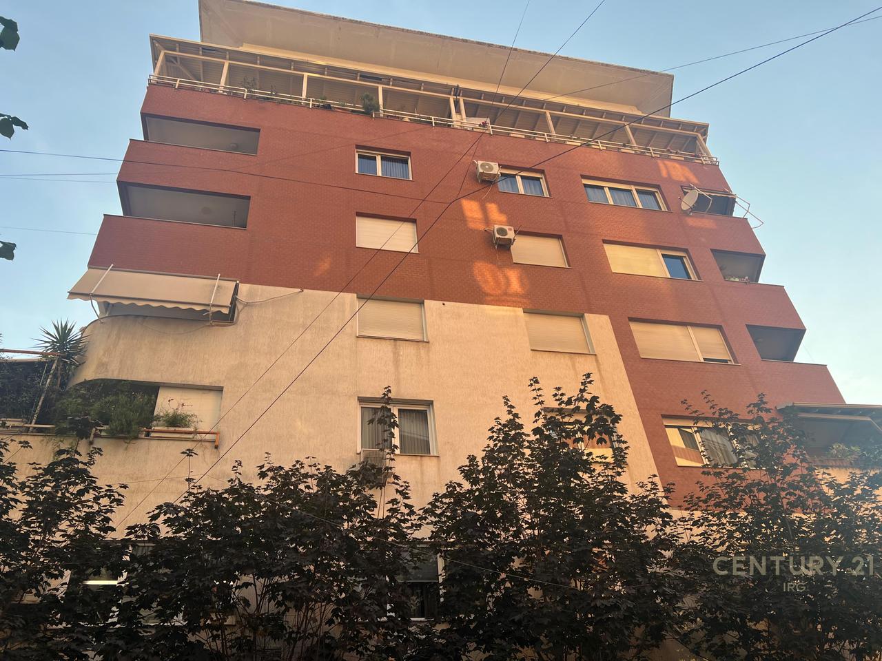 Zyre on Bogdaneve Street!