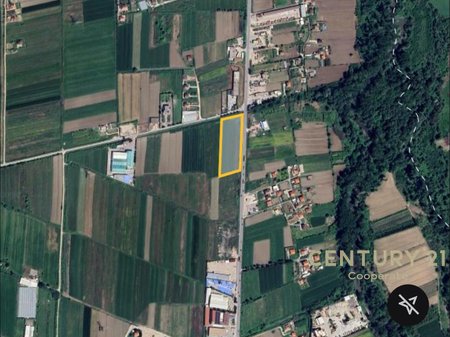 SHESIM TRUALL NE FUSHE PREZE!