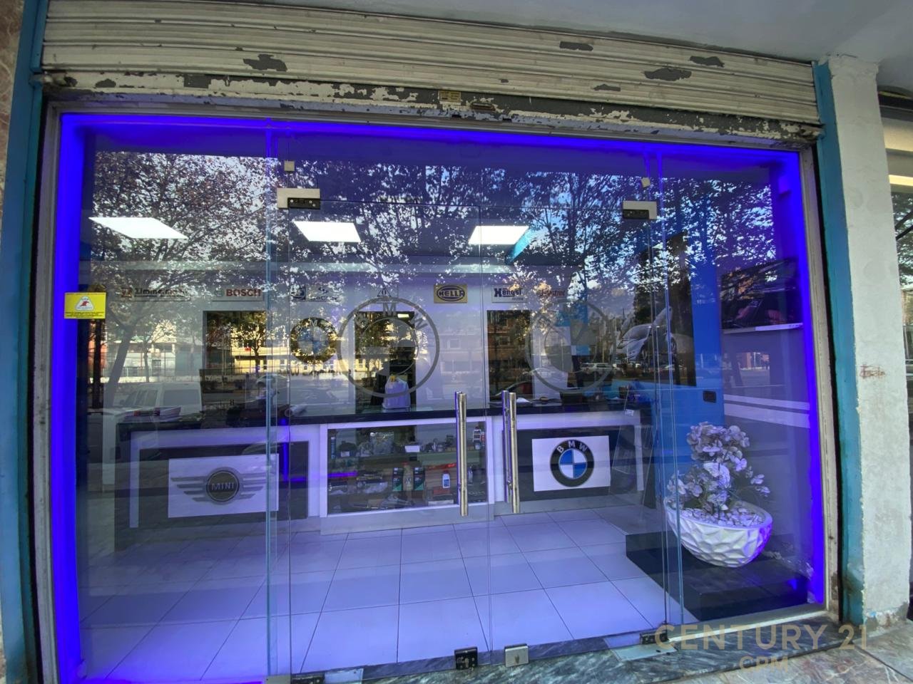 EXCLUSIVE ! LAPRAKE BUZE RRUGES KRYESORE SHESIM  NJESI BIZNESI