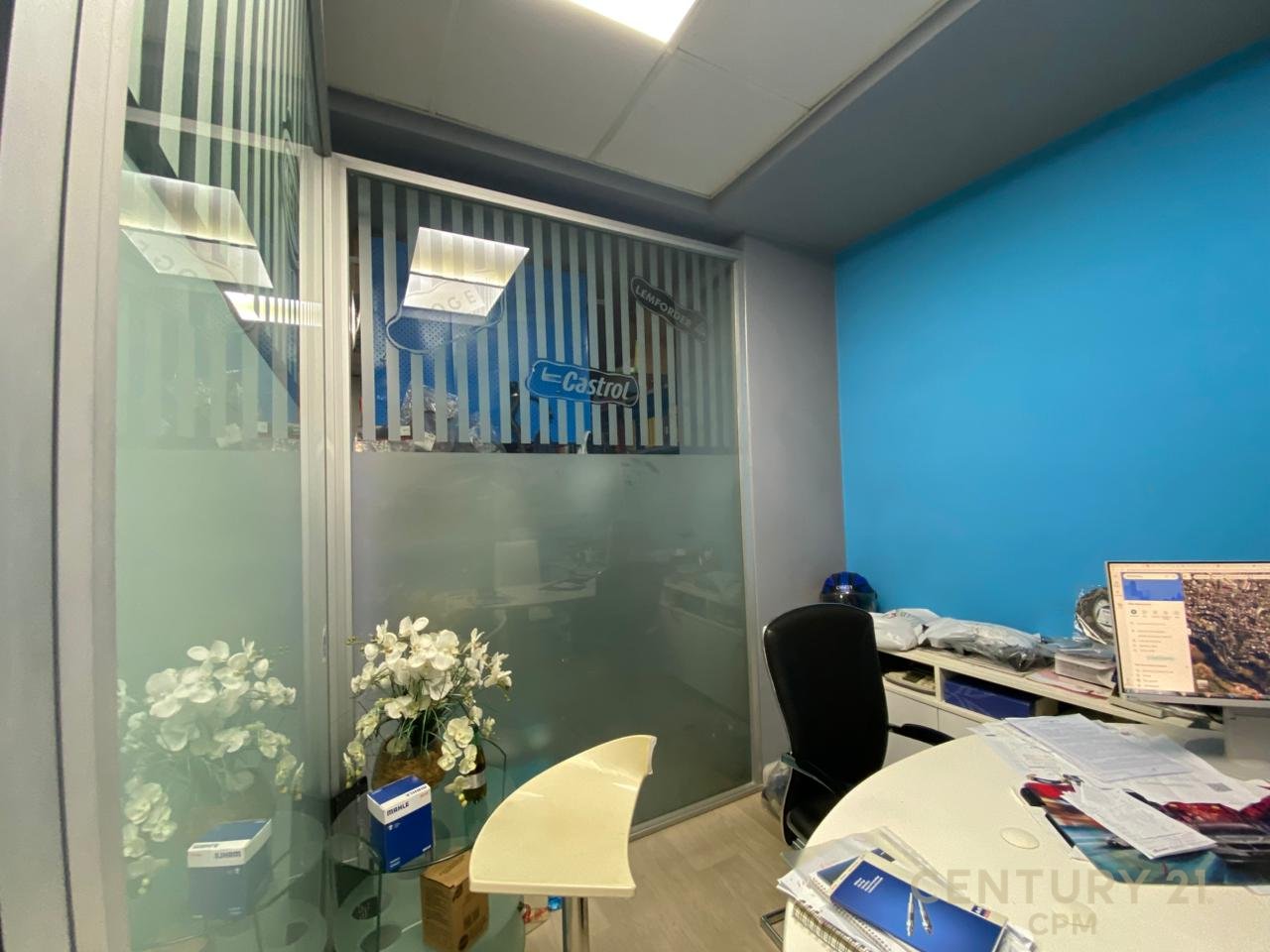 EXCLUSIVE ! LAPRAKE BUZE RRUGES KRYESORE SHESIM  NJESI BIZNESI