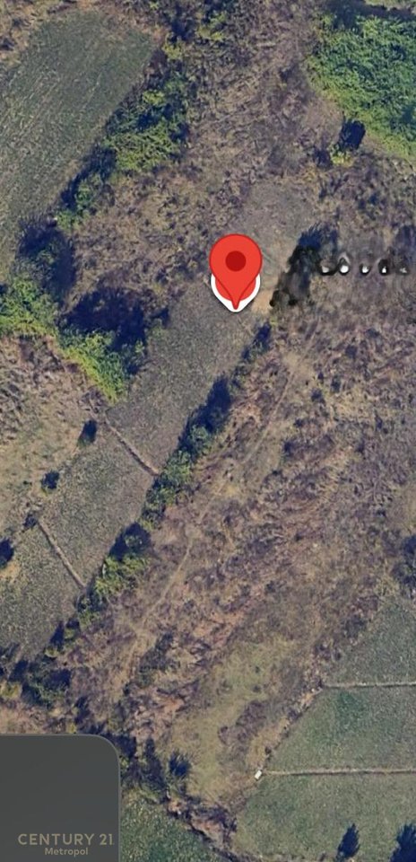 SHITET TOKE ARE PRANE LIQENIT TE KASHARIT!