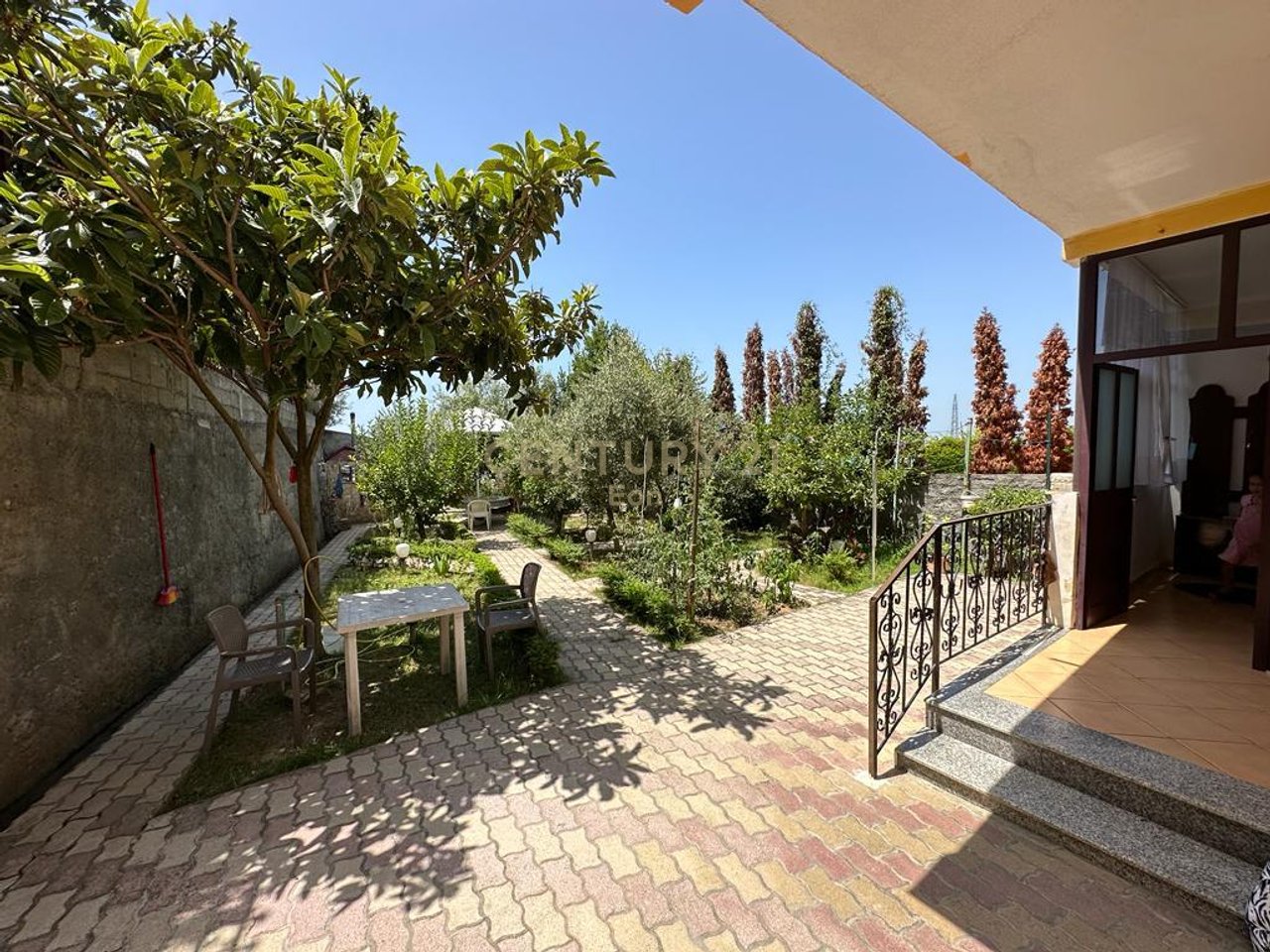 VILE PER SHITJE ME PAMJE DETI NE SHKALLNUR !