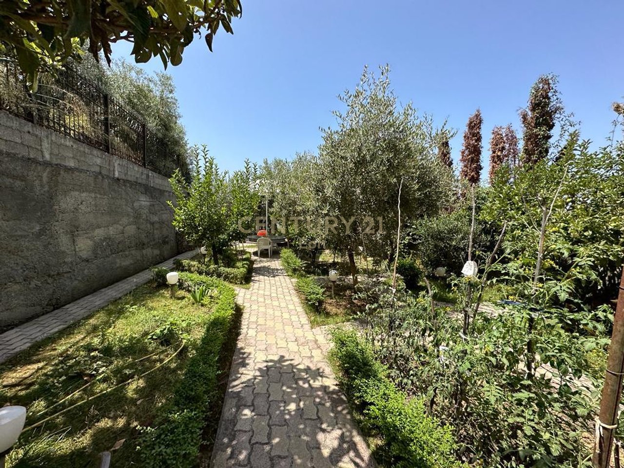 VILE PER SHITJE ME PAMJE DETI NE SHKALLNUR !