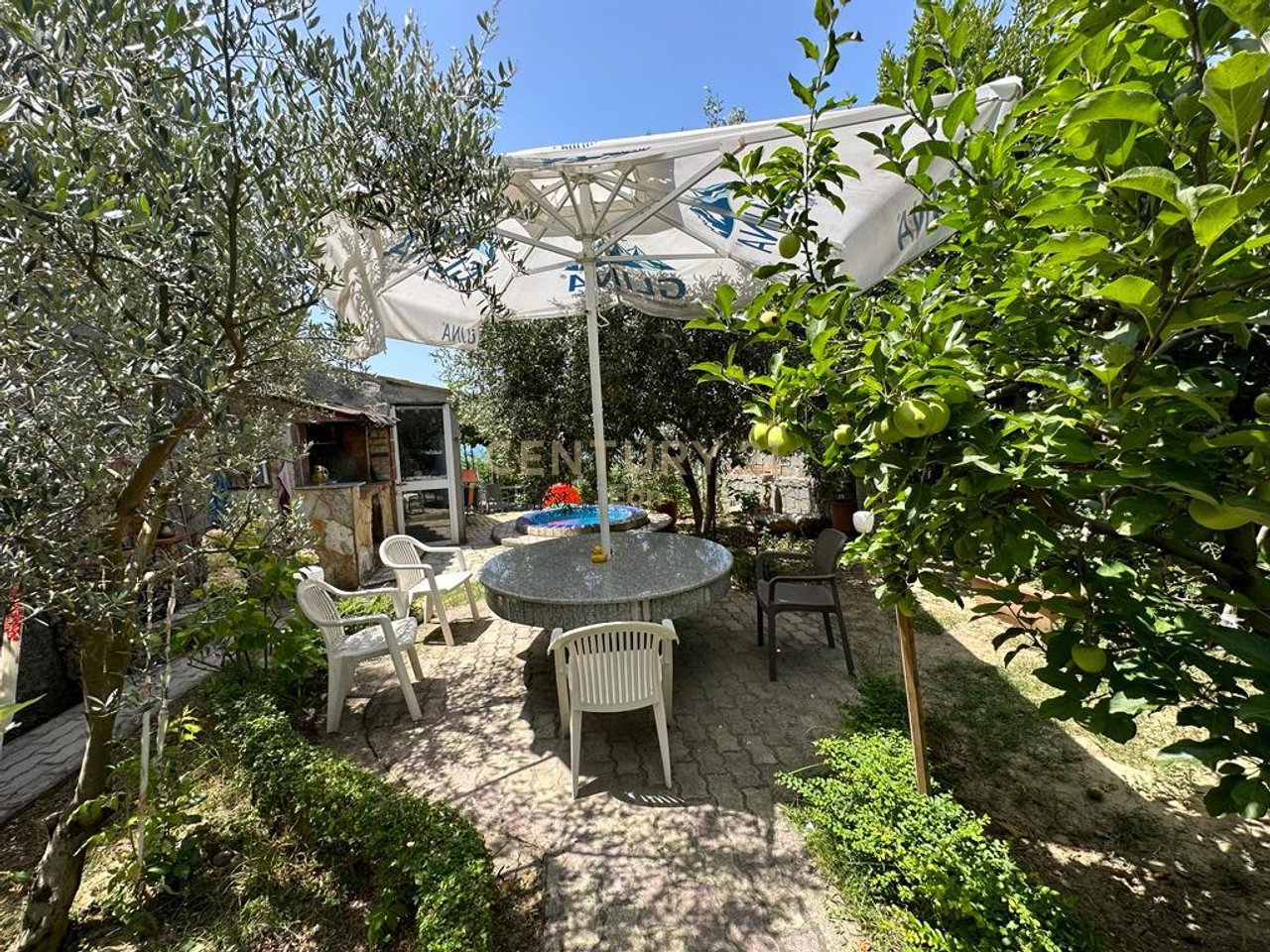 VILE PER SHITJE ME PAMJE DETI NE SHKALLNUR !