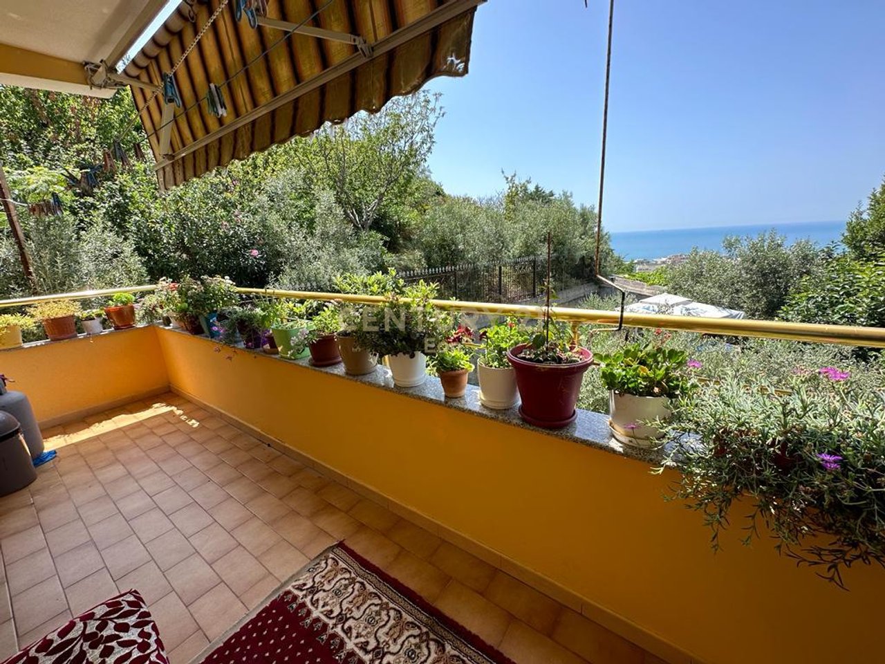 VILE PER SHITJE ME PAMJE DETI NE SHKALLNUR !