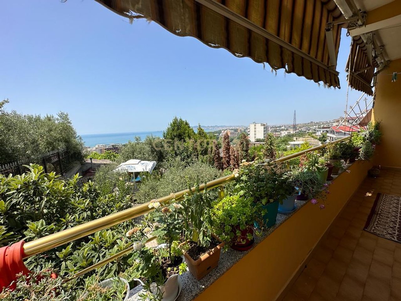 VILE PER SHITJE ME PAMJE DETI NE SHKALLNUR !