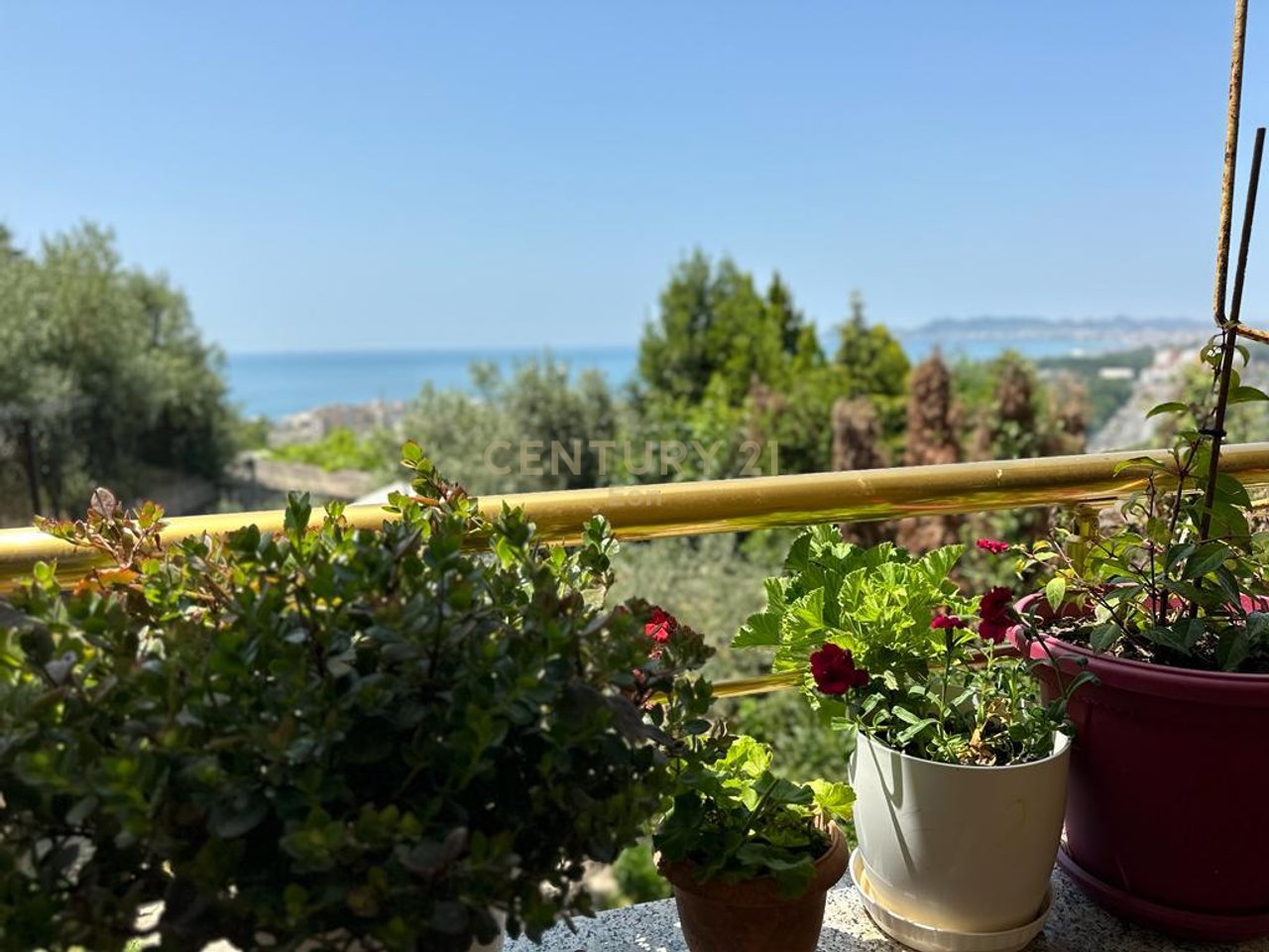 VILE PER SHITJE ME PAMJE DETI NE SHKALLNUR !