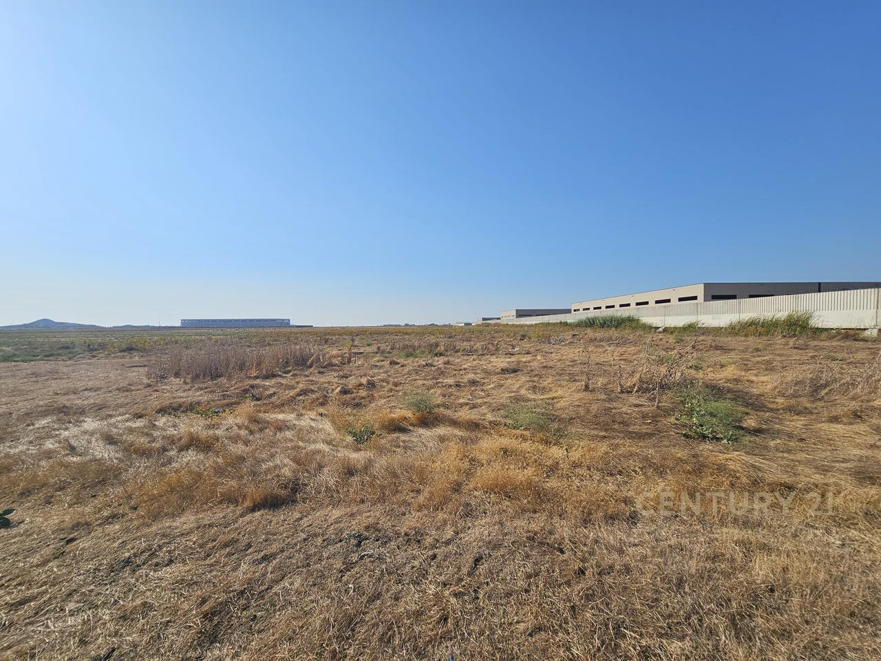 Shesim Toke prane Portit te Ri, Durres