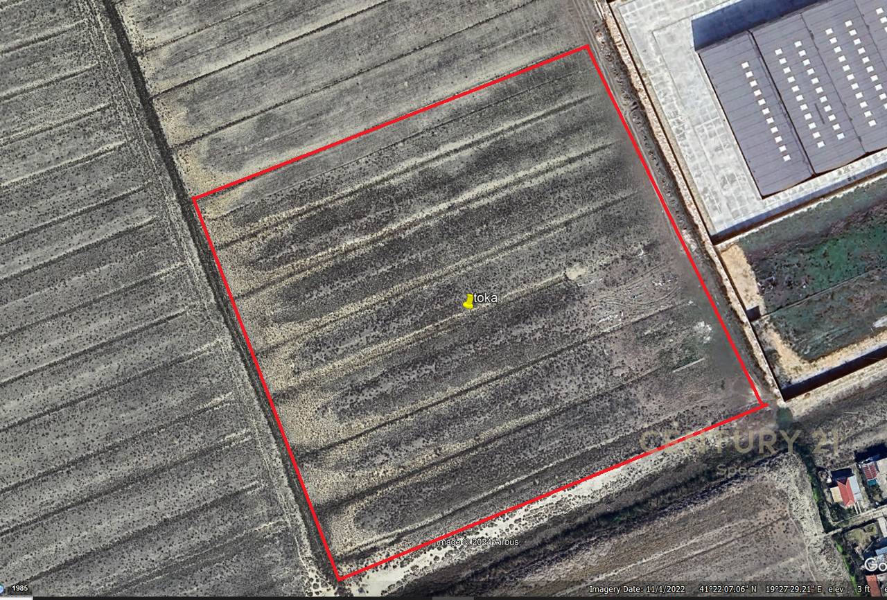 Shesim Toke prane Portit te Ri, Durres