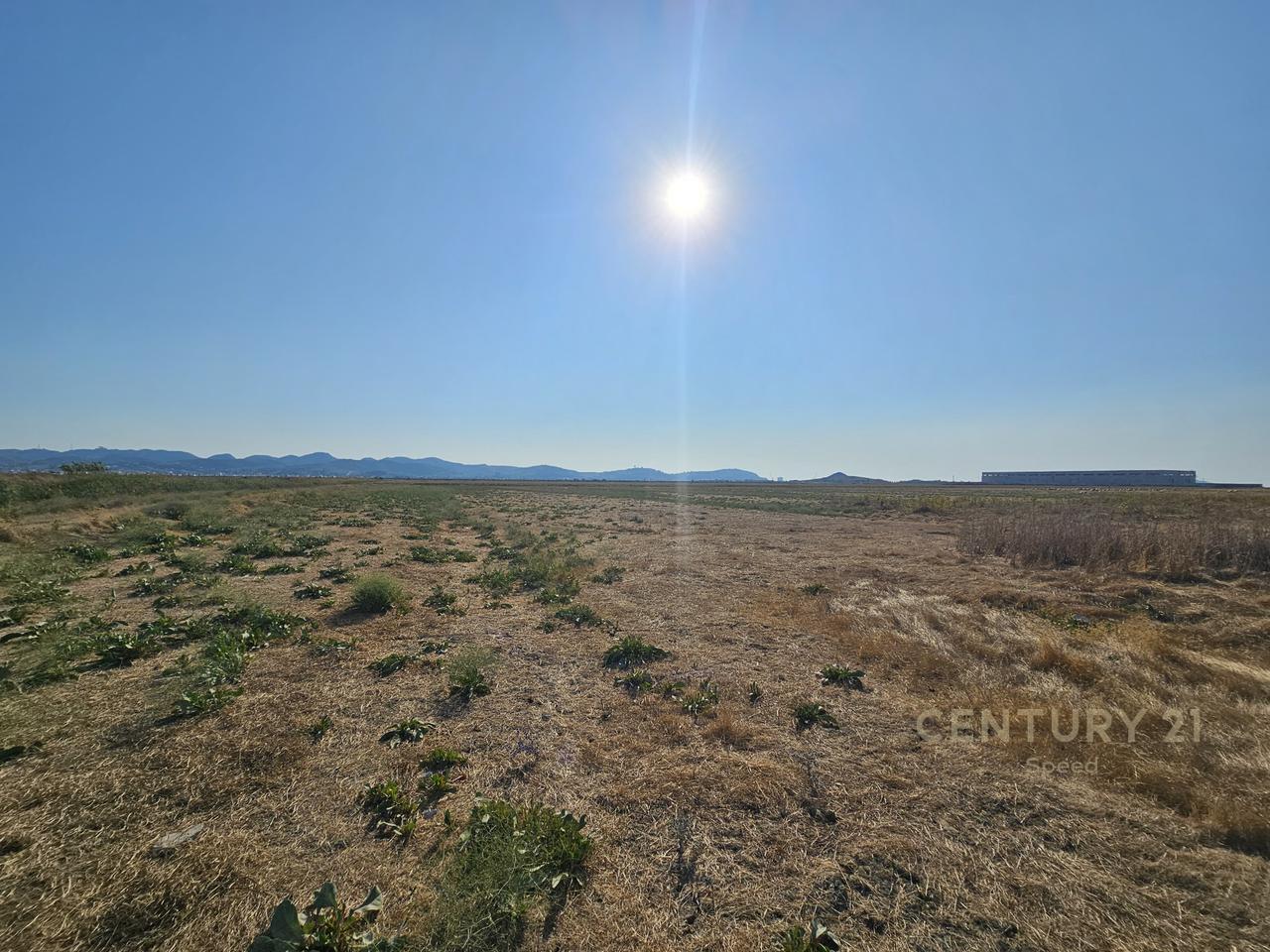 Shesim Toke prane Portit te Ri, Durres