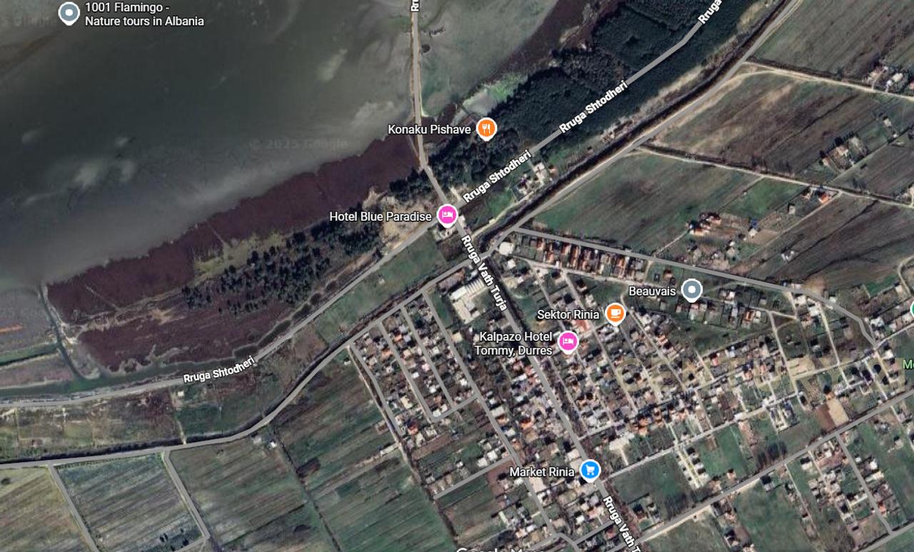 SHITET TOKE TRUALL NE SEKTOR RINIA !!! MUNDESI E ARTE INVESTIMI !!!