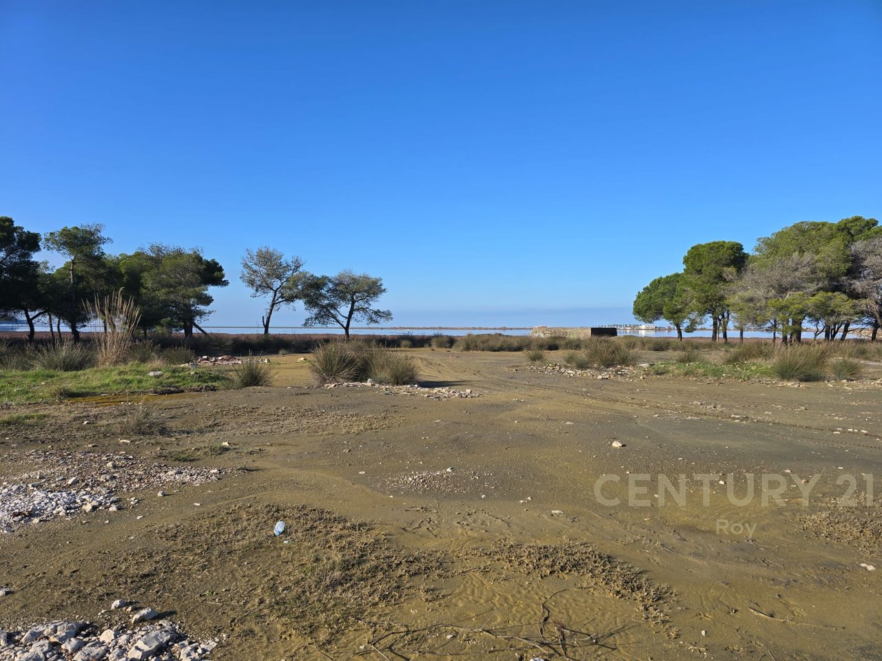 SHITET TOKE TRUALL NE SEKTOR RINIA !!! MUNDESI E ARTE INVESTIMI !!!