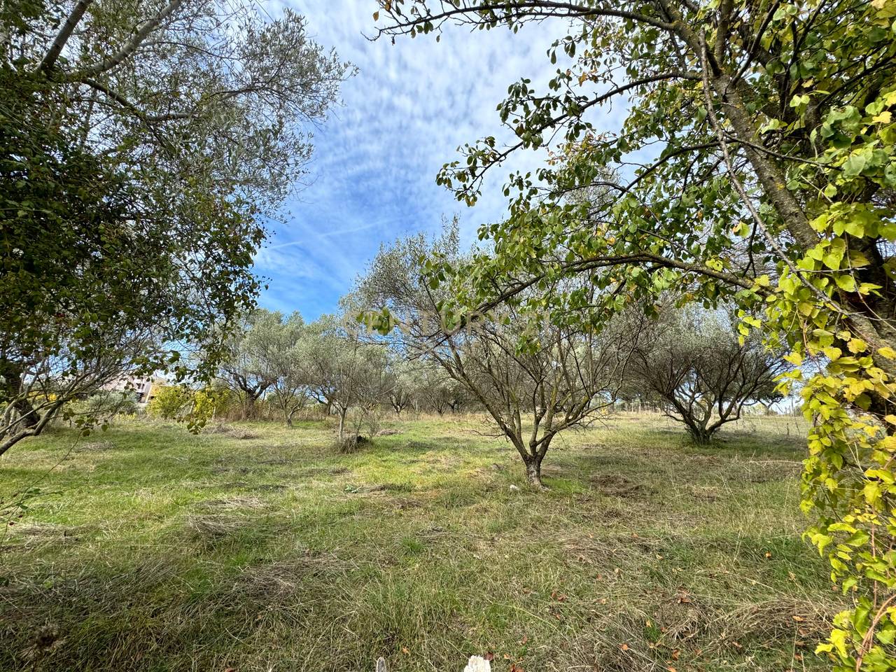 Shesim toke are 700 m2 ne Lunder!