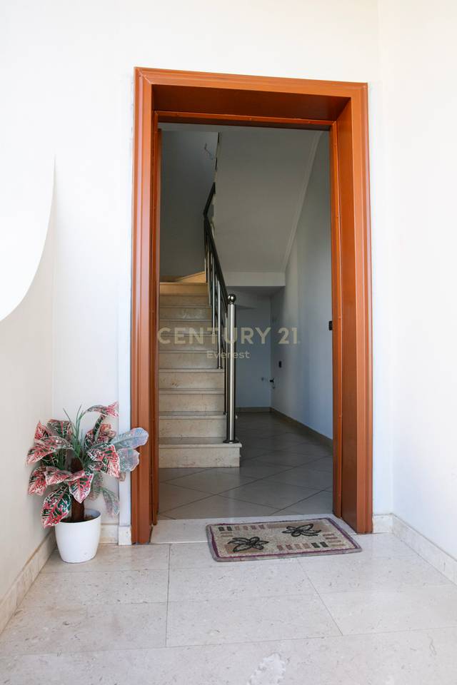 KODRA E PRIFTIT, VILE PER QIRA