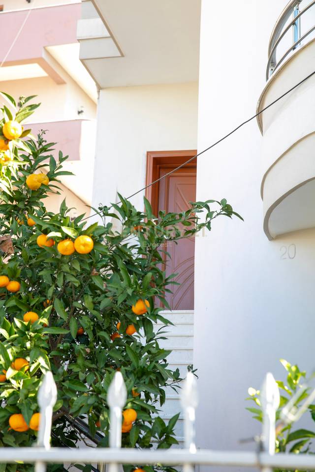 KODRA E PRIFTIT, VILE PER QIRA