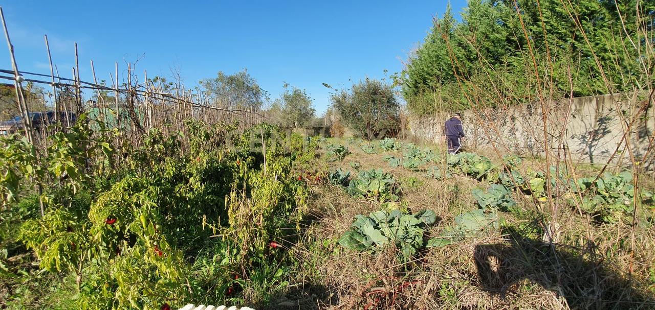 Toke për Shitje pranë Aeroportit Ndërkombëtar të Tiranës