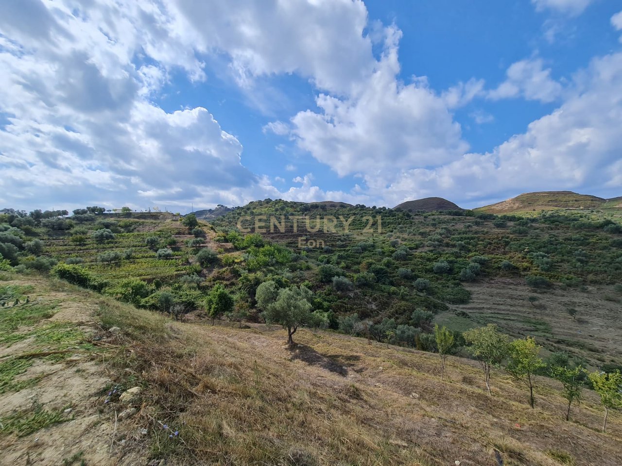 TERRENO MOLTO COLLINARE IN VENDITA A SPITALLE, DURAZZO!