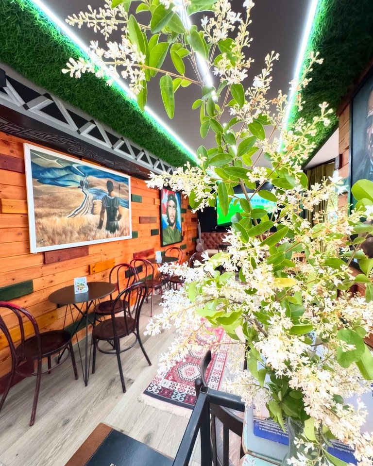 Shesim Biznes Bar-Caffè & Snack – Ex Campo Aviazione, Tirana!