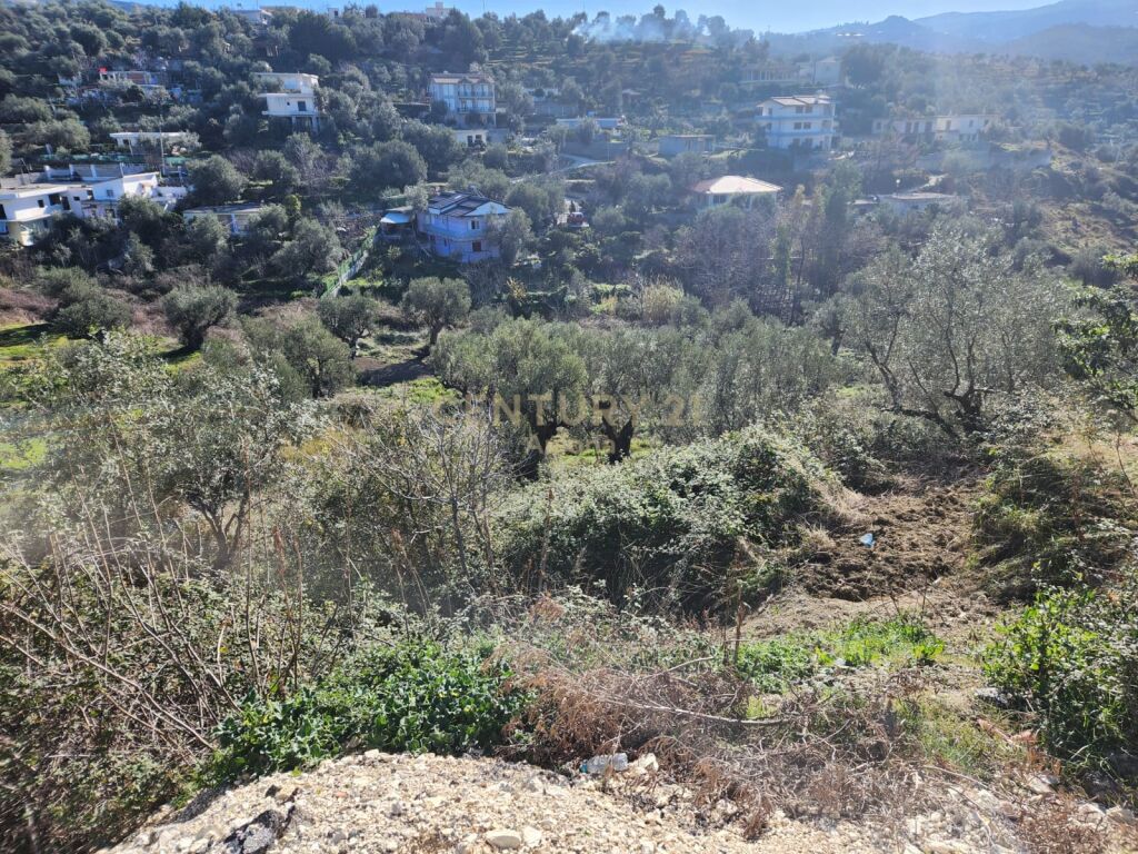 TOKE PER SHITJE NE VLORE