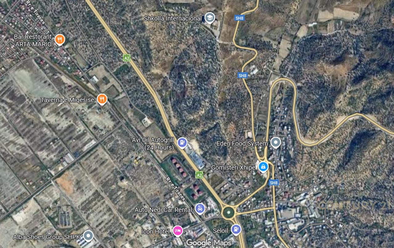 SHESIM TOKË NË VLORË.