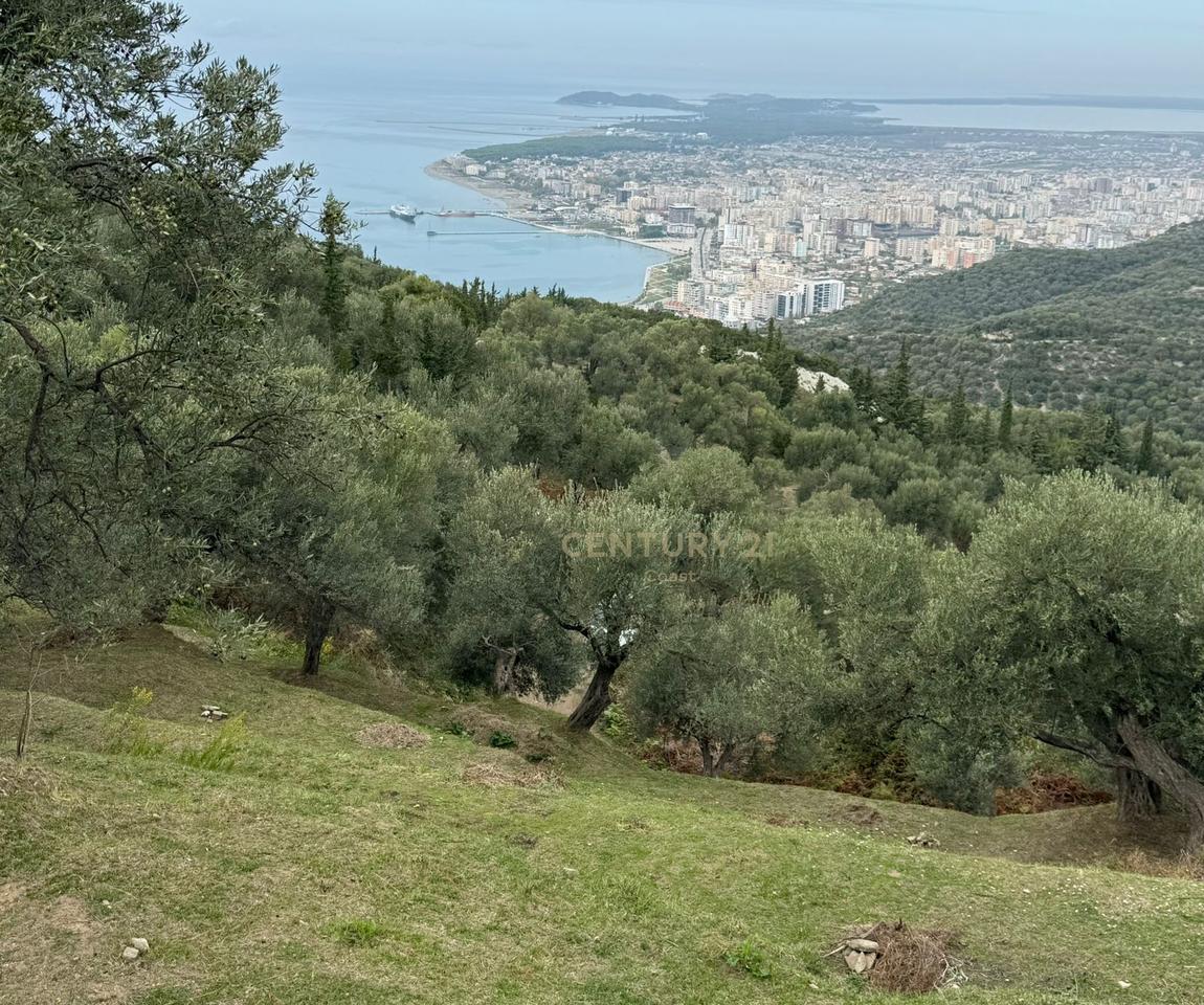 Panoramic Land in Kaninë, Vlorë – Sea View Investment Opportunity!!!
