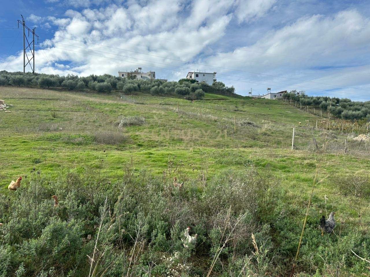 Opportunity Land for Sale in Arapaj, Durrës - €60,000 | 3600 m²