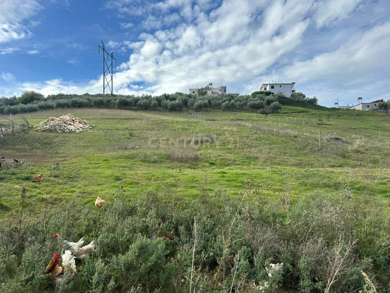 Opportunity Land for Sale in Arapaj, Durrës - €60,000 | 3600 m²