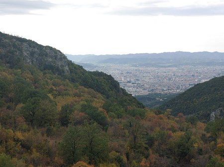 SHESIM TOKE NE LINZE