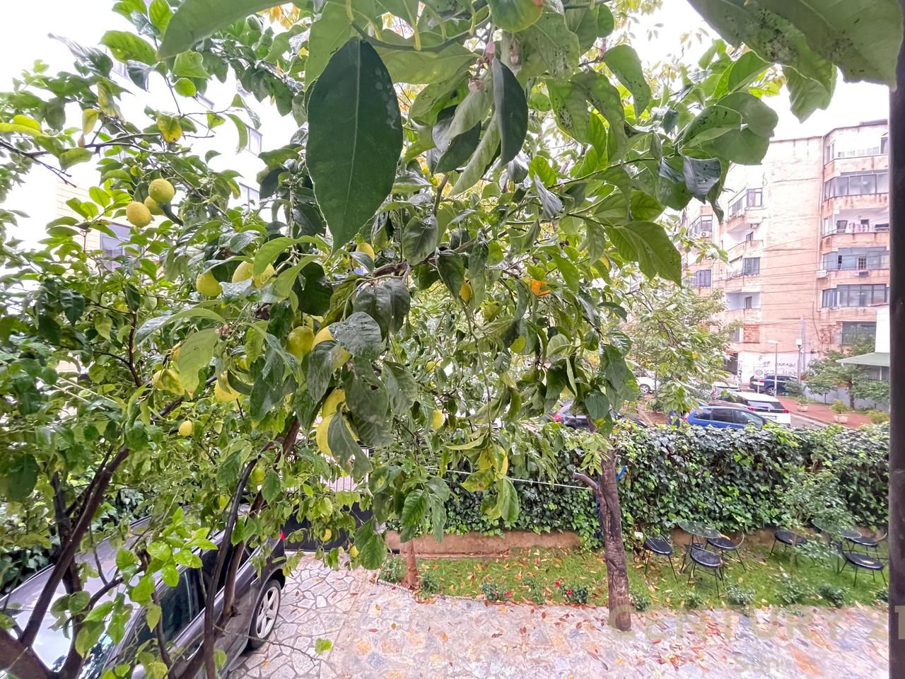 VILE PER QIRA PRANE RR. MUHAMET GJOLLESHA!