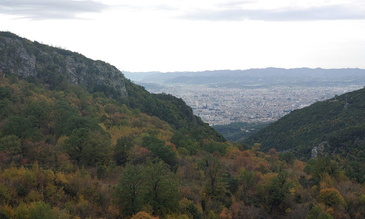 SHESIM TOKE NE LINZE