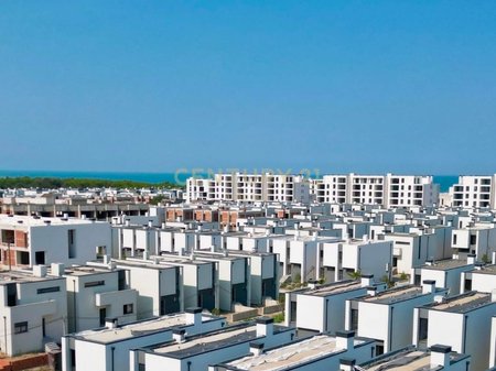 SHESIM VILE T3 TEK TURQUOISE MARINA, GJIRI I LALEZIT