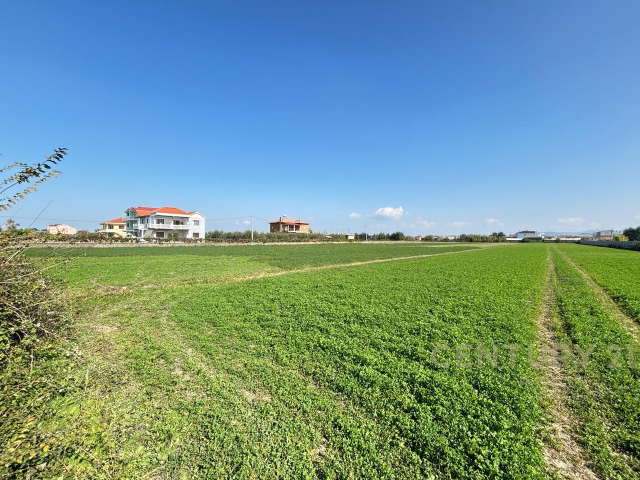 OFROHET TOKE PER SHITJE NE XHAFZOTAJ,DURRES!