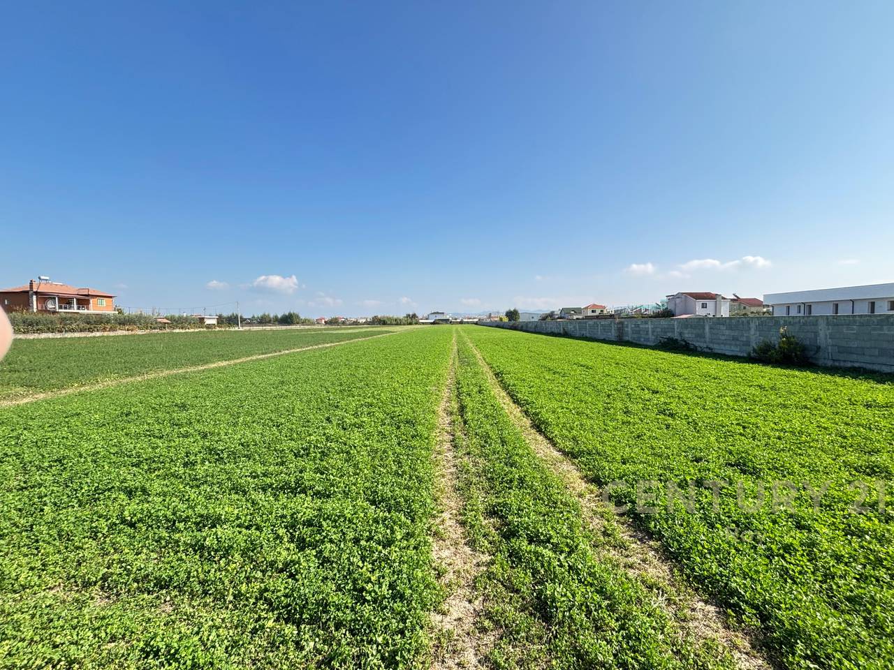 OFROHET TOKE PER SHITJE NE XHAFZOTAJ,DURRES!