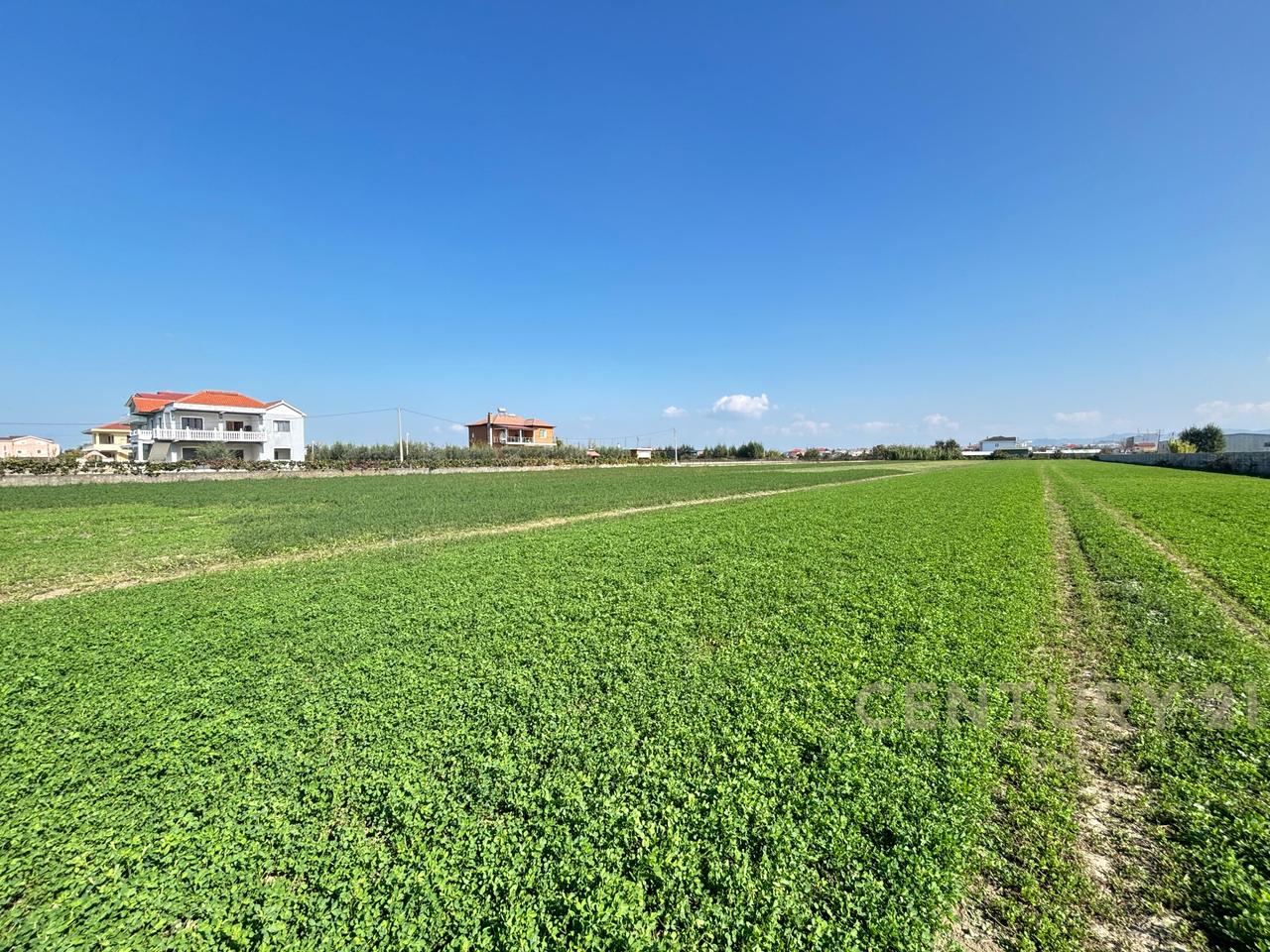 OFROHET TOKE PER SHITJE NE XHAFZOTAJ,DURRES!