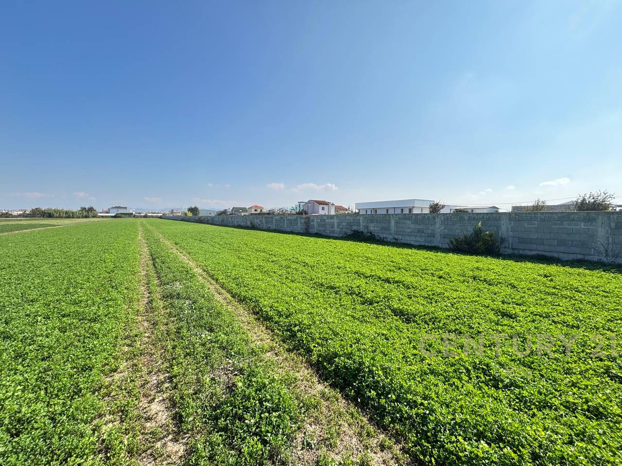 OFROHET TOKE PER SHITJE NE XHAFZOTAJ,DURRES!
