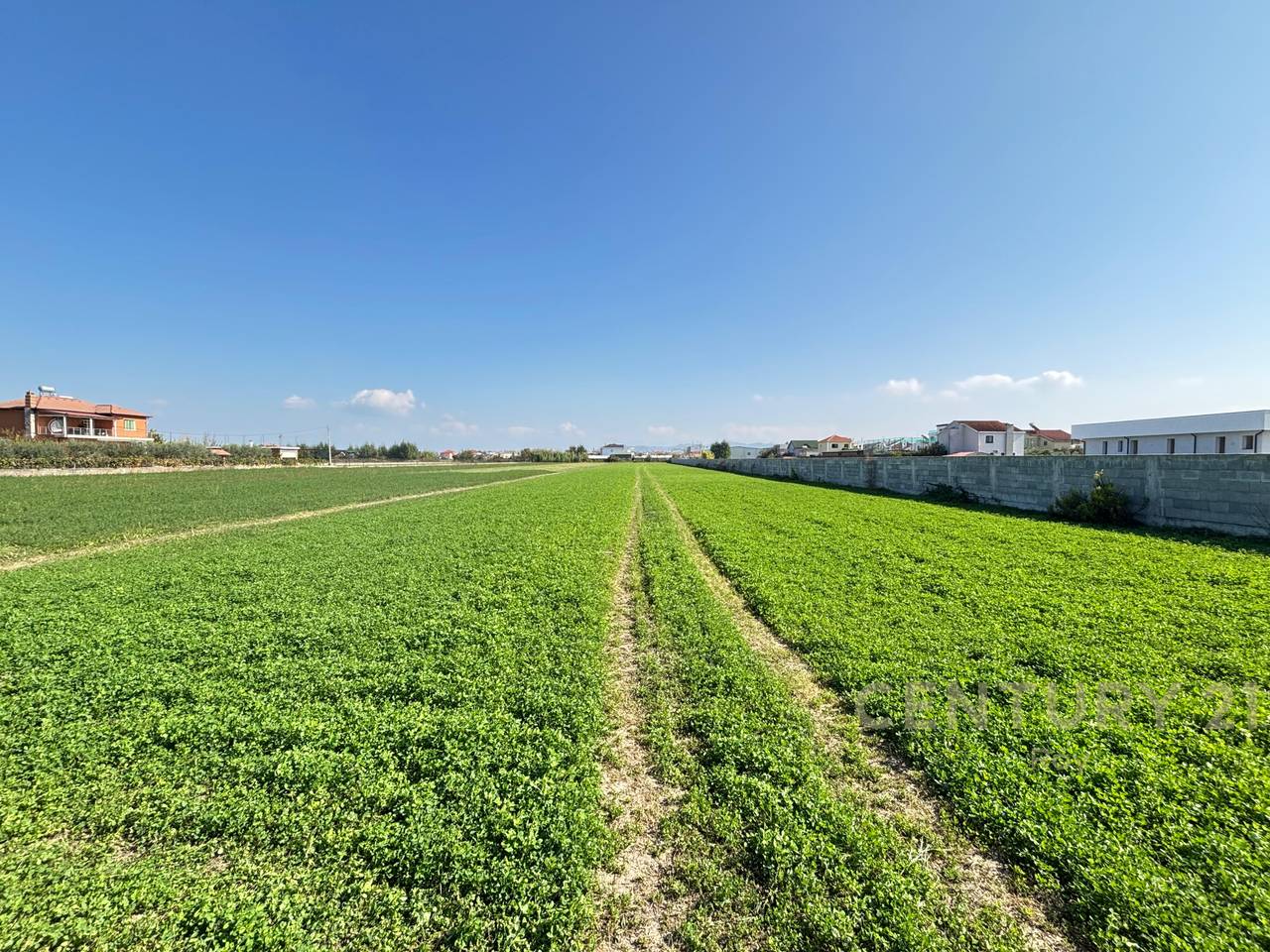 OFROHET TOKE PER SHITJE NE XHAFZOTAJ,DURRES!