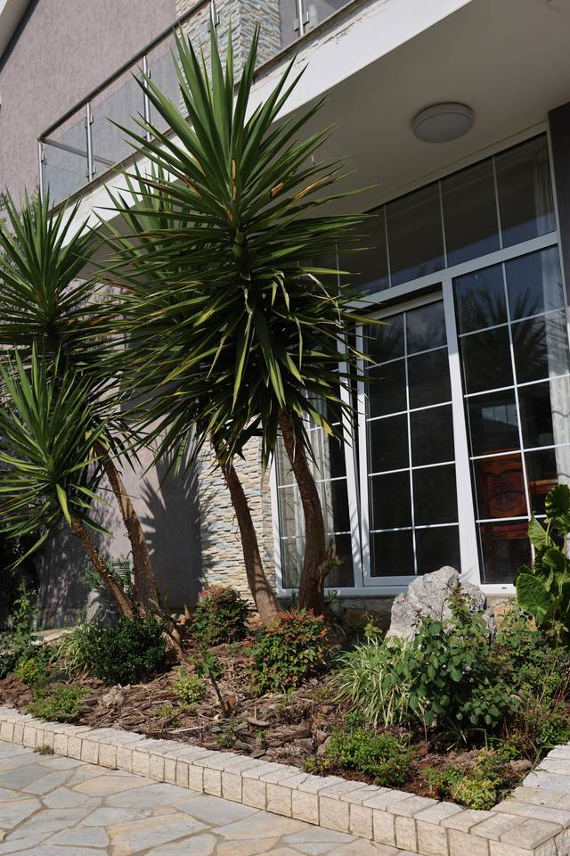 ✅ SHITET SUPER VILE PRANE FONDACIONIT FUNDJAVE NDRYSHE  ✅