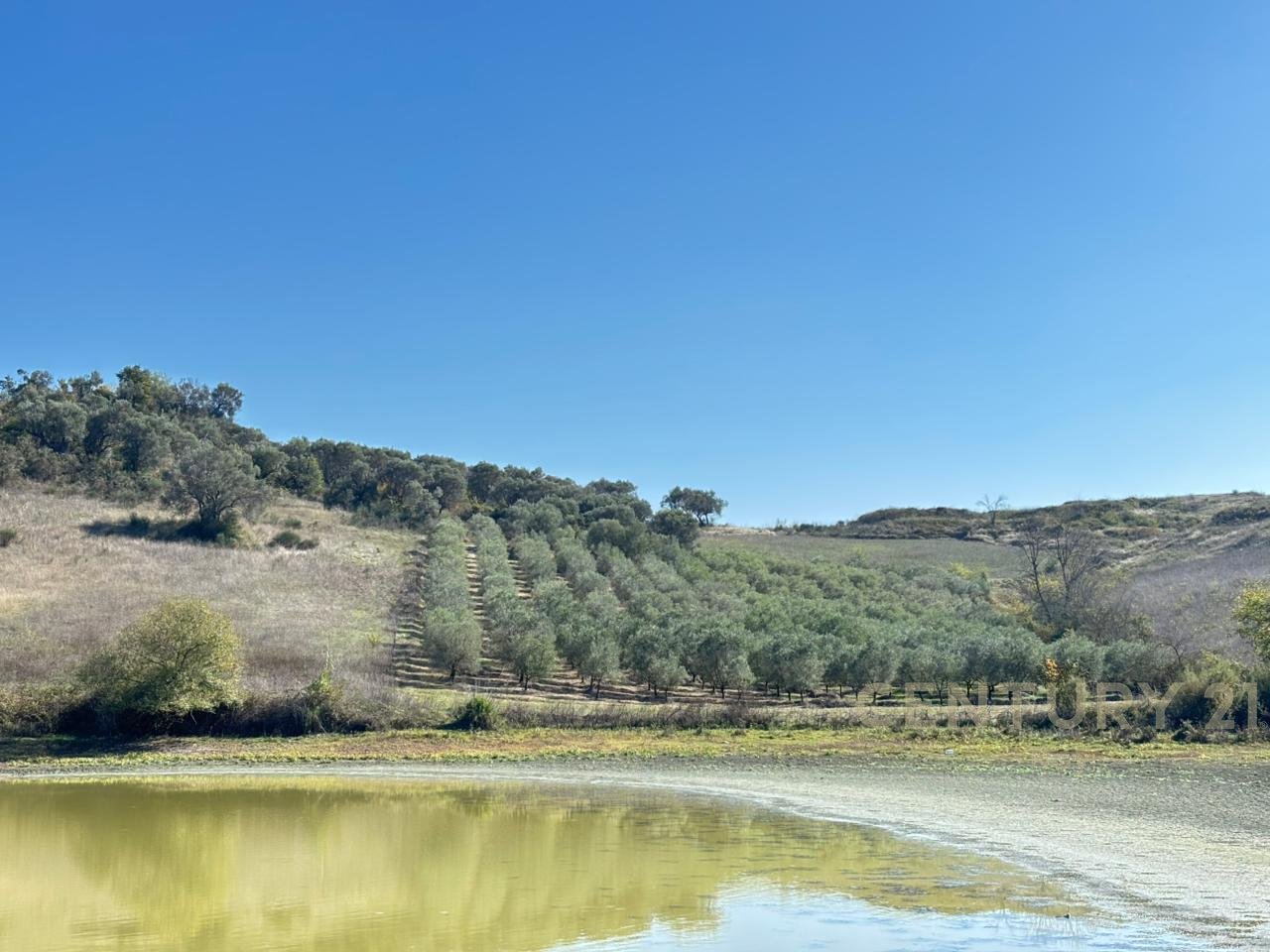 OFROHET TOKE PER SHITJE NE RROMANAT, DURRES!