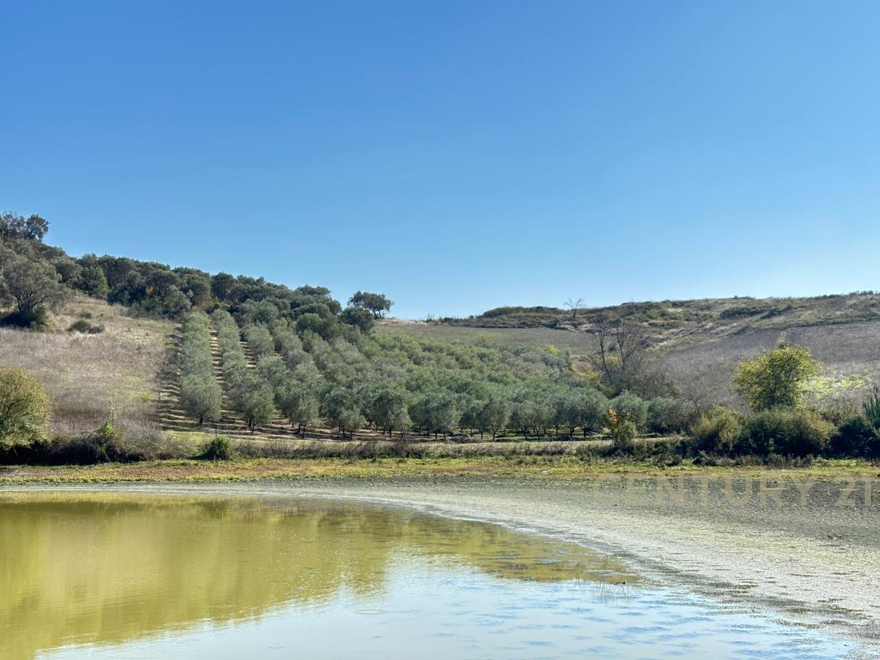 OFROHET TOKE PER SHITJE NE RROMANAT, DURRES!