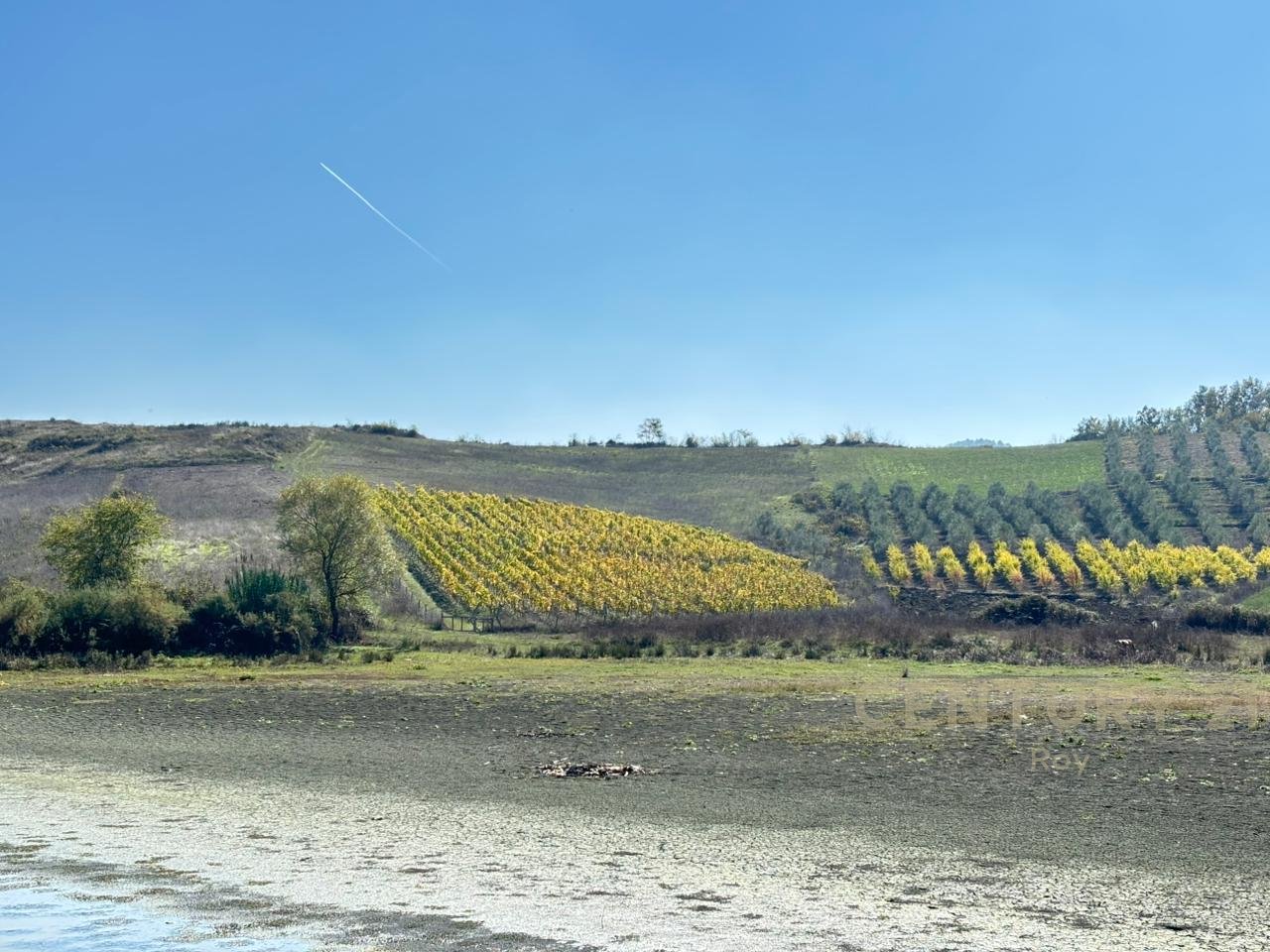 OFROHET TOKE PER SHITJE NE RROMANAT, DURRES!